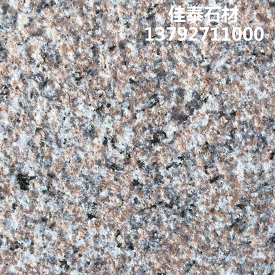新七号荔枝面